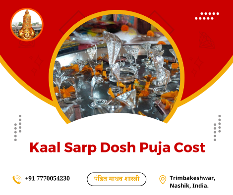 Kaal Sarp Dosh Puja Cost