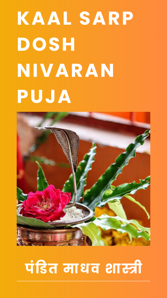Kaal Sarp Dosh Puja