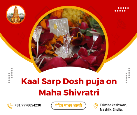 Kaal Sarp Dosh Puja on Maha Shivratri