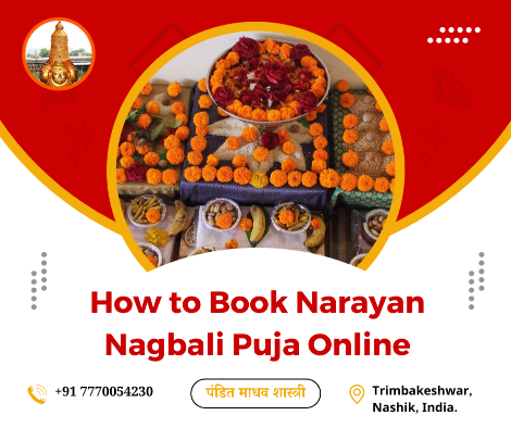 Book Narayan Nagbali Puja Online