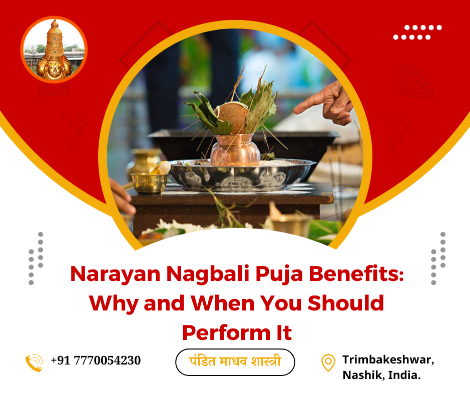 Narayan Nagbali Puja Benefits