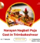 Narayan Nagbali Puja Cost in Trimbakeshwar