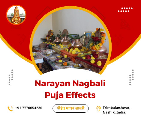 Narayan Nagbali Puja Effects