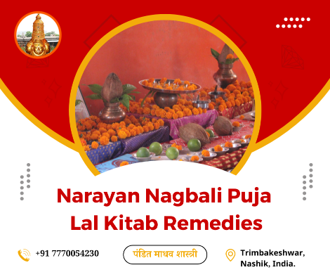 Narayan Nagbali Puja Lal Kitab Remedies