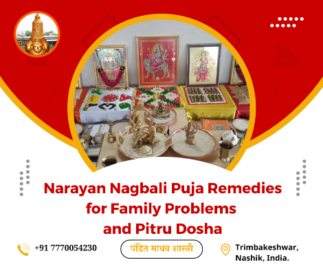 Narayan Nagbali Puja Remedies