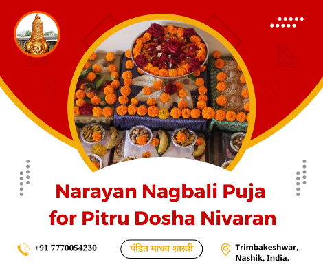 Narayan Nagbali Puja for Pitru Dosha Nivaran