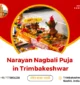 Narayan Nagbali Puja in Trimbakeshwar
