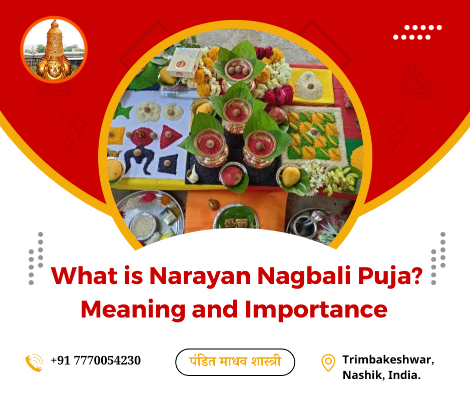 What is Narayan Nagbali Puja