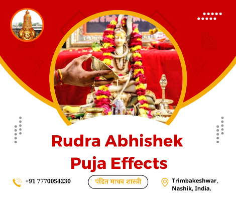 Rudra Abhishek Puja Effects
